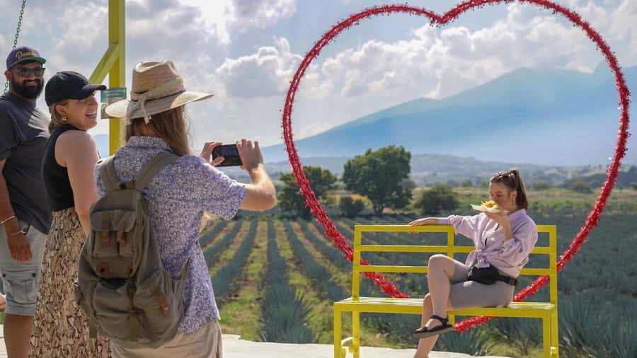 Classic Tequila Route Tour from Guadalajara and cantaritos el GÜERO!!! - From Guadalajara to the Blue Agave Fields