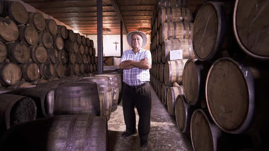 Classic Tequila Route Tour from Guadalajara and cantaritos el GÜERO!!! - Lunch Comes Late, So Plan Ahead