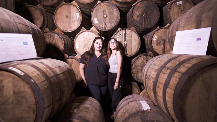 Classic Tequila Route Tour from Guadalajara and cantaritos el GÜERO!!! - Exploring Tequila Town for One Hour