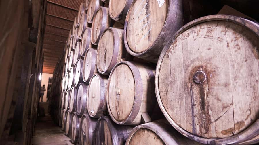 Classic Tequila Route Tour from Guadalajara and cantaritos el GÜERO!!! - The Guides Shape the Day