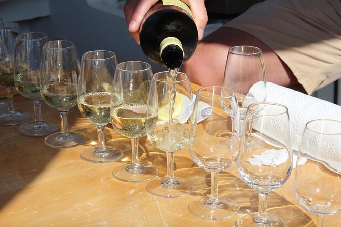 Classic Tour with Wine Tastings from Dubrovnik - Three wineries and a wider Croatian wine lesson