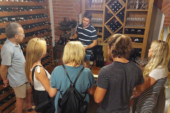 Classic Tour with Wine Tastings from Dubrovnik - How the small group changes the experience