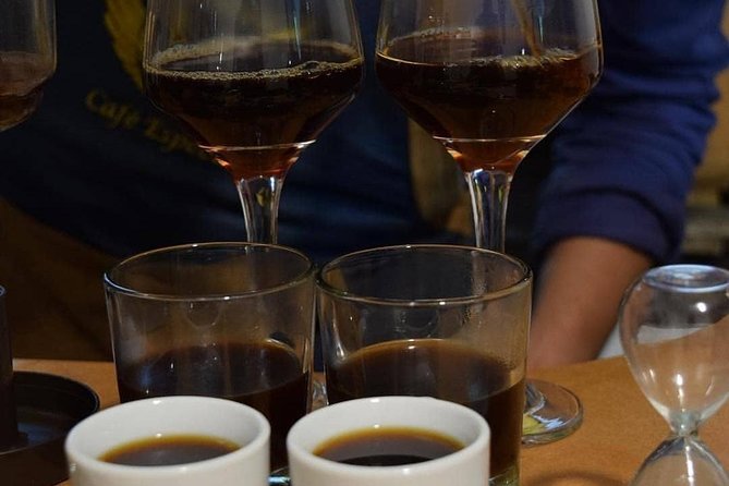 Coffee tasting experience at Divino Café Especial - Six brewing methods and why they matter
