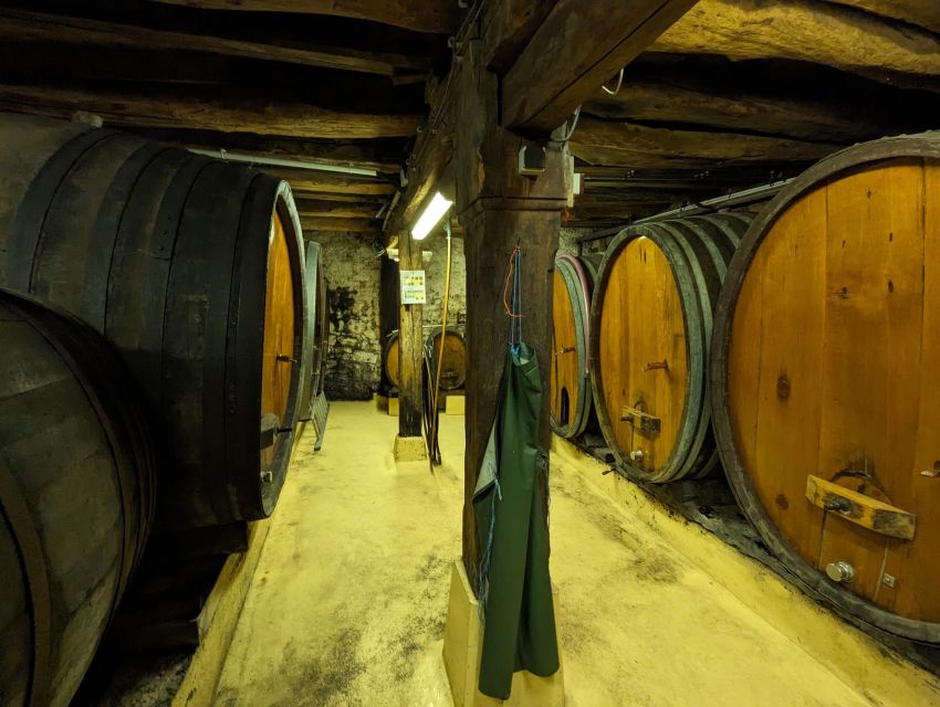 Colmar: Highlights Walking Tour and Wine Tasting - Reading Colmar’s half-timbered streets
