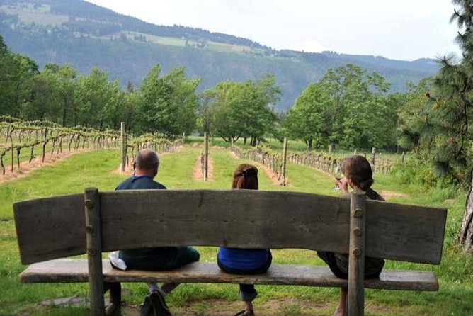 Columbia Gorge Waterfalls & Wineries from Portland: All-Inclusive Afternoon Tour - Is $189 a fair price?