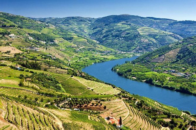 Complete Douro Valley Wine Tour with Lunch, Wine Tastings and River Cruise - The final winery in Folgosa