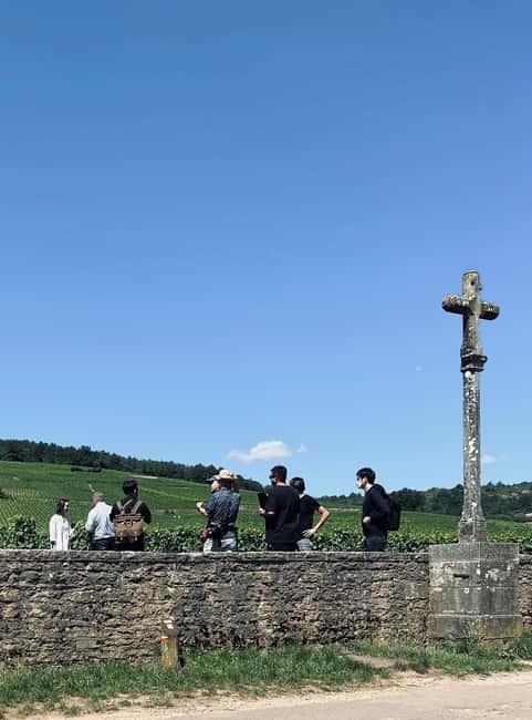 Côte de Nuits: Excursion in the heart of the vineyards - Key points to know before you book
