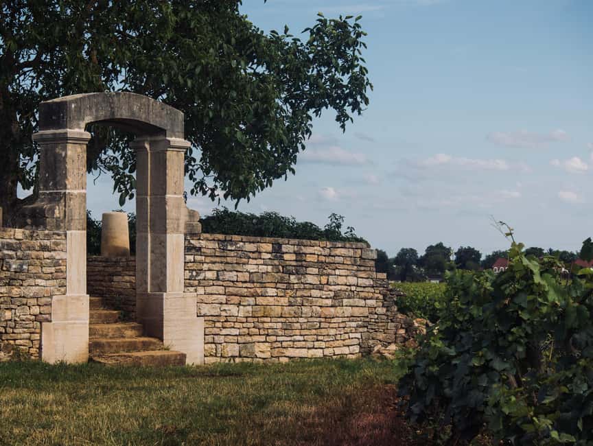 Côte de Nuits: Excursion in the heart of the vineyards - Why the Côte de Nuits makes a strong half-day outing