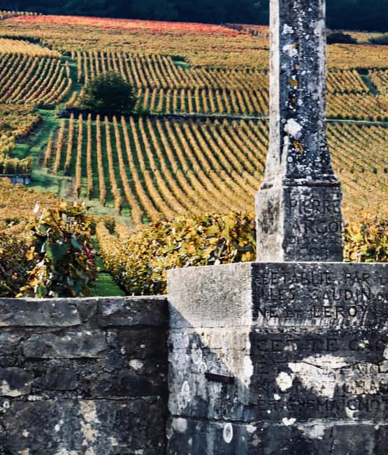 Côte de Nuits: Excursion in the heart of the vineyards - Seeing Romanée-Conti, Richebourg, and Clos de Vougeot