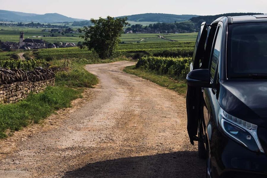 Côte de Nuits: Excursion in the heart of the vineyards - Understanding vines, seasons, and Burgundy’s classifications