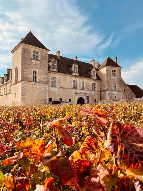 Côte de Nuits: Excursion in the heart of the vineyards - Comparing six estate wines instead of tasting one