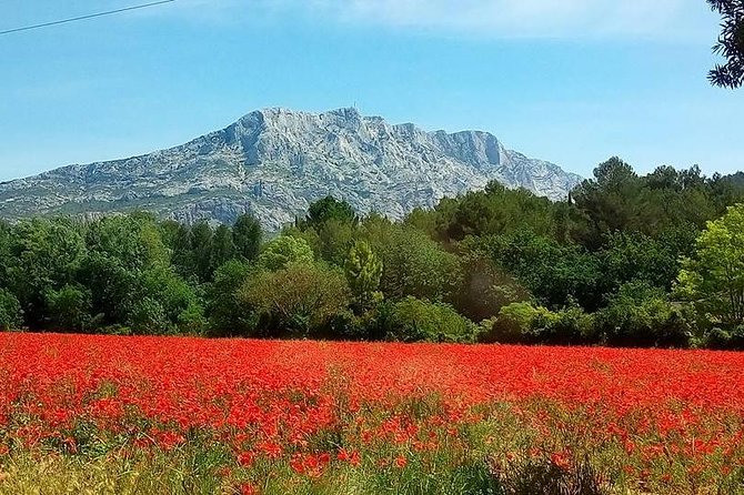 Cotes de Provence Wine Tour from Aix-en-Provence - Leaving Aix for Sainte-Victoire country