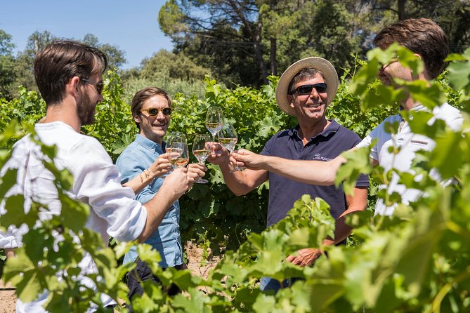 Cotes de Provence Wine Tour from Aix-en-Provence - Is $119.77 a fair price?