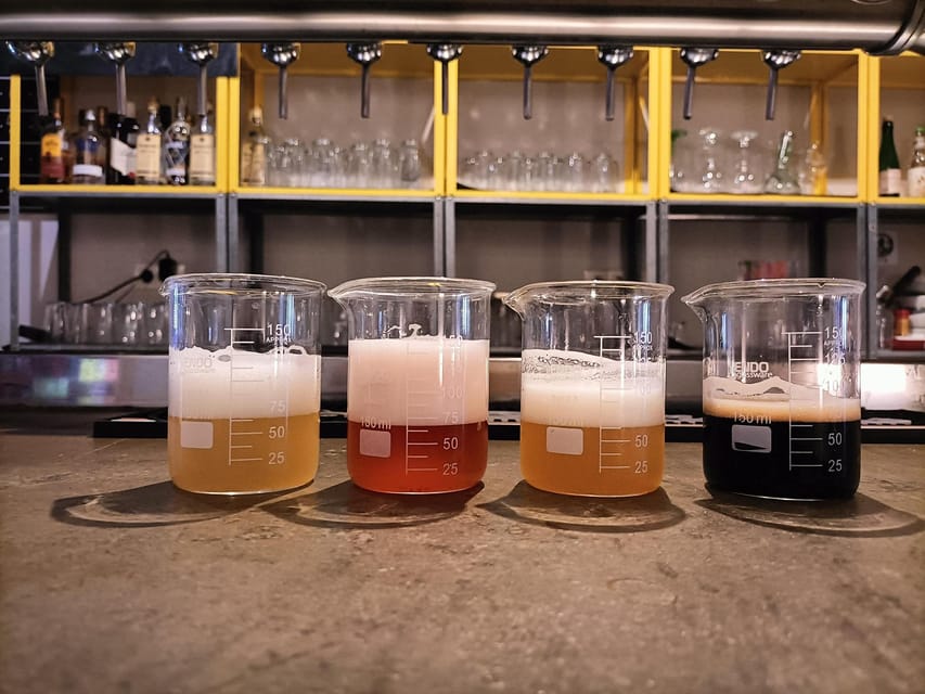 Craft Beer Tasting and tapas in Valencia - Key points at a glance