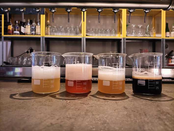 Craft Beer Tasting and tapas in Valencia - How Felipe explains the beer