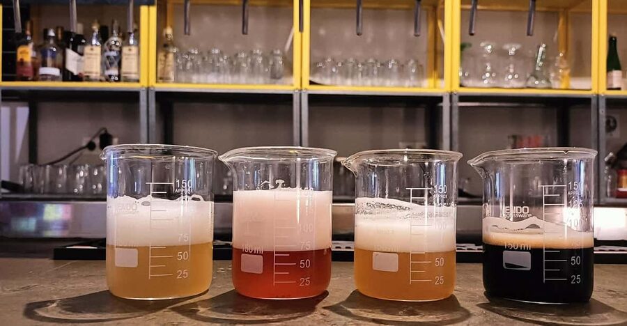 Craft Beer Tasting and tapas in Valencia - Four beers from Valencia and Spain