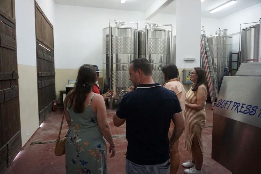 Crete: Full-Day Cretan Wines, Olive Oil, Raki and Food Tour - Raki, the drink that demands respect