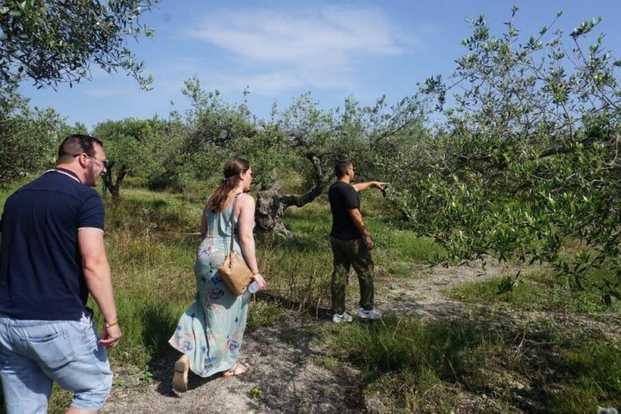 Crete: Full-Day Cretan Wines, Olive Oil, Raki and Food Tour - Who should book this Crete tour?