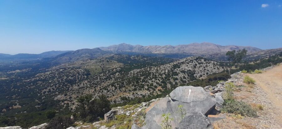 Crete: Olive, Wine, & Raki on a Flavorful Culinary Journey - Practical details that matter