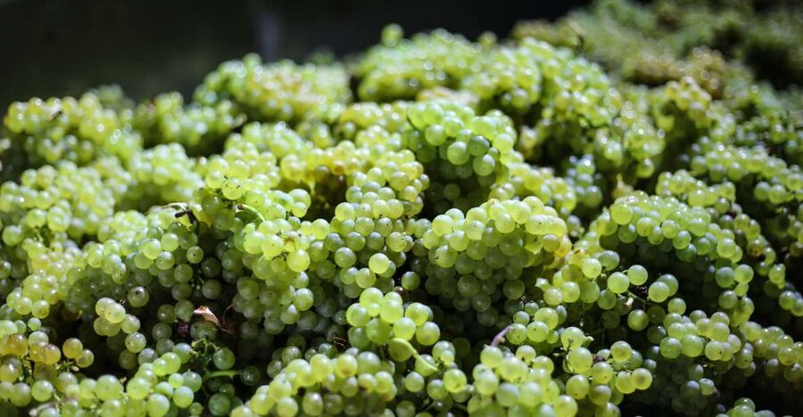 Crete: Olive, Wine, & Raki on a Flavorful Culinary Journey - Archanes adds a village stop and photo break