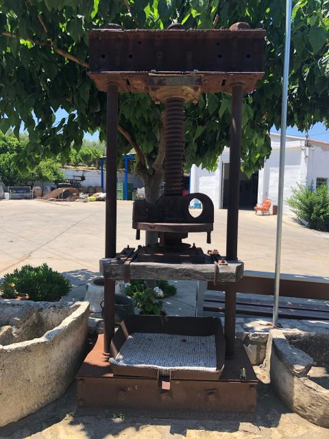 Crete Private Tour: The Secrets of Wine, Olives & Honey - Paraschakis Olive Oil Mill and the island’s daily staple