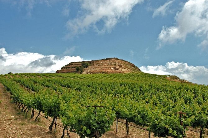 Crete Wine and Olive Oil Tour - Key points at a glance