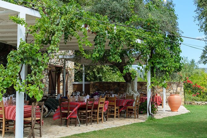 Crete Wine and Olive Oil Tour - Wine, olive oil, snacks, and the question of value