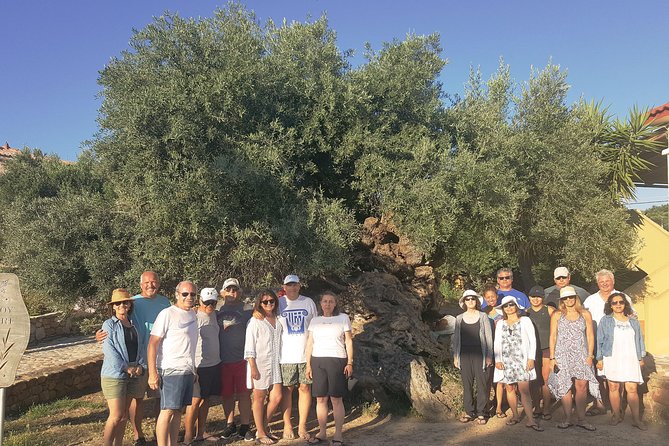 Crete Wine and Olive Oil Tour - Who should book this outing