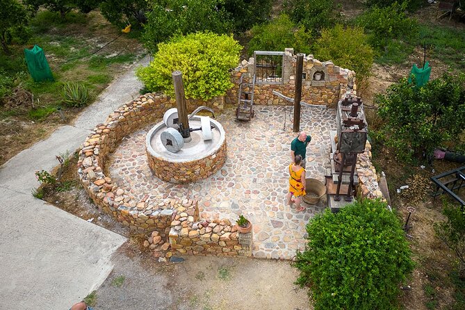 Crete Wine and Olive Oil Tour - Vouves: a short stop with a very old tree