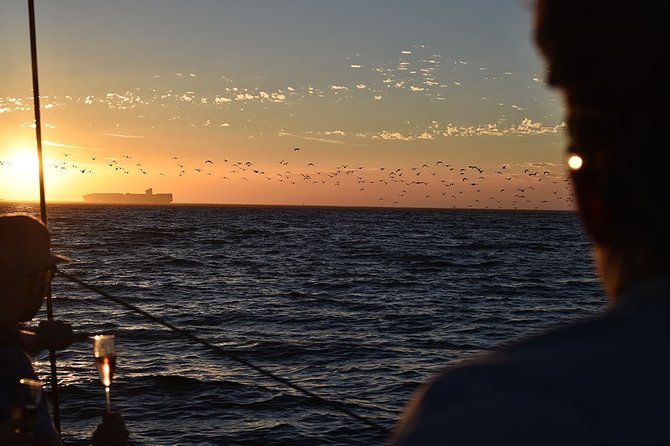 Cruise and Dine Dinner / Cape Town: Sunset Champagne Cruise and 3-Course Dinner - Starting at Quay 5 in the V&A Waterfront