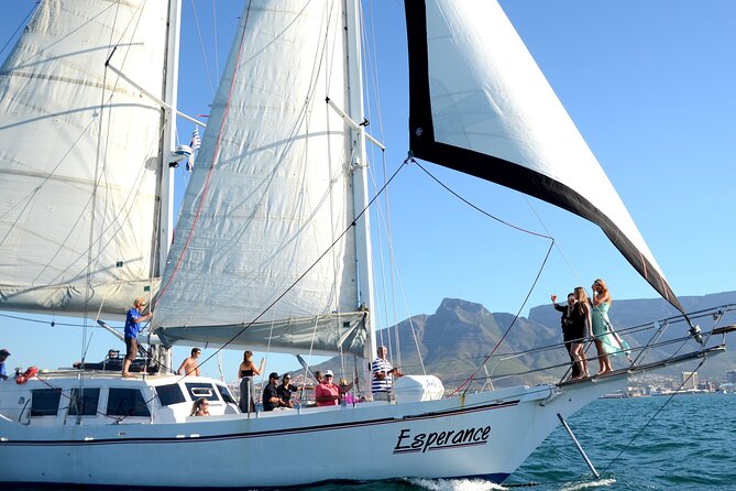 Cruise and Dine Dinner / Cape Town: Sunset Champagne Cruise and 3-Course Dinner - Practical tips for a smoother evening