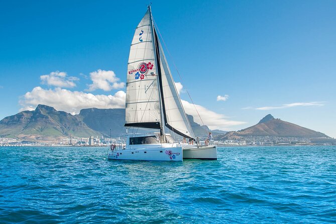 Cruise and Dine Dinner / Cape Town: Sunset Champagne Cruise and 3-Course Dinner - Table Mountain from the water