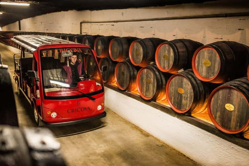 Curchi Monastery, Old Orhei and Cricova Winery (Optional) - Should you book it?