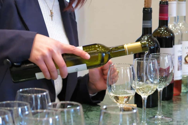 Cyprus: Troodos Mountain Food & Wine Tasting Tour with Lunch - From hotel pickup to the first village