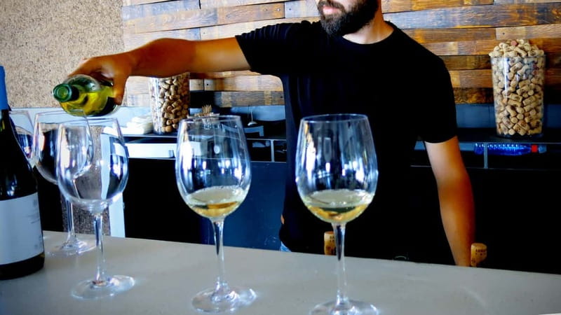 Cyprus: Troodos Mountain Wine Tour with a Local - From the coast to the Troodos villages