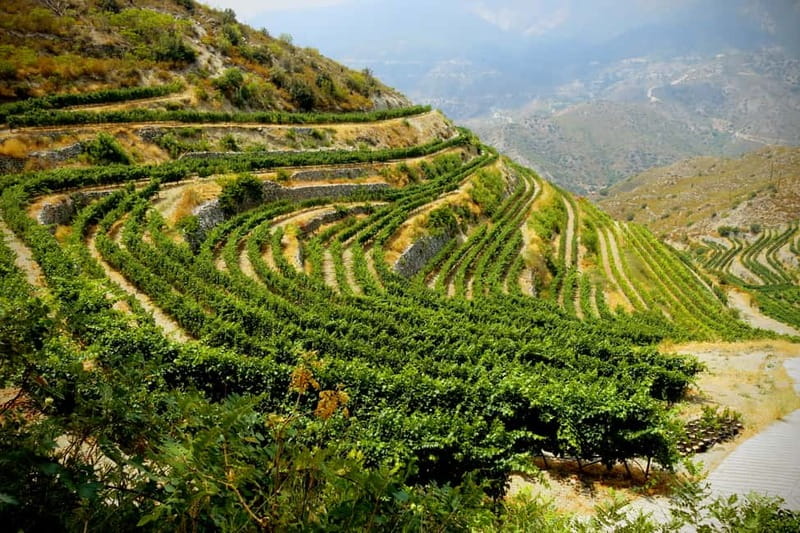 Cyprus: Troodos Mountain Wine Tour with a Local - Omodos, old churches, and village lanes