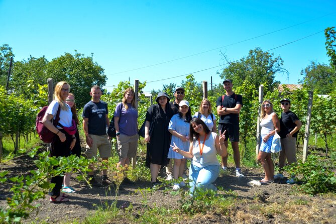 Day Trip to Kakheti Wine Region Including 9 Wine Tastings - Sighnaghi, the City of Love