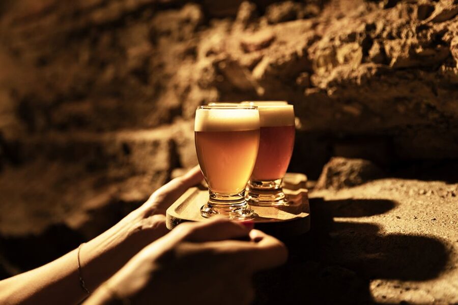 Delft: Craft Beer Tasting in Medieval Brewery - Is $19 good value?