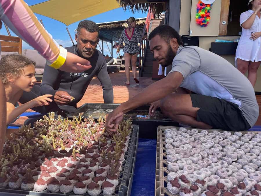 Denarau: Seventh Heaven Floating Bar Day Trip - Finding Your Place on the Pontoon