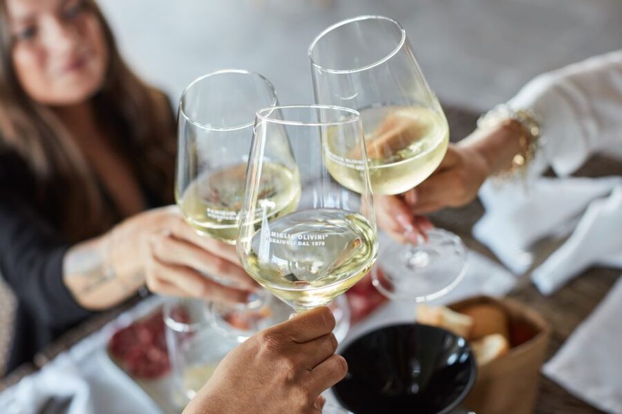 Desenzano: Lugana Wine-Tasting and Vineyard Tour - Key points at a glance