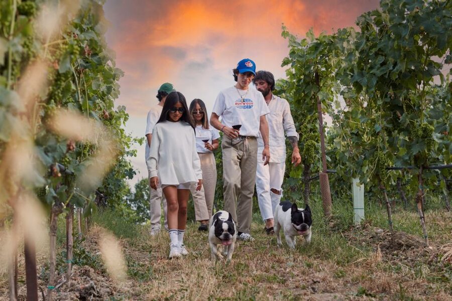Desenzano: Lugana Wine-Tasting and Vineyard Tour - The four-wine tasting and local food