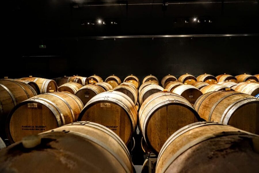 Desenzano: Lugana Wine-Tasting and Vineyard Tour - How the guides shape the experience