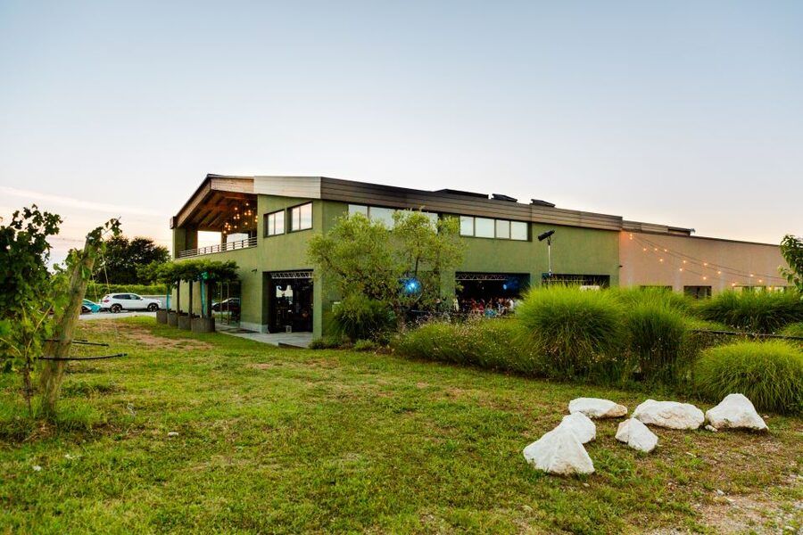 Desenzano: Lugana Wine-Tasting and Vineyard Tour - The value at $59 per person