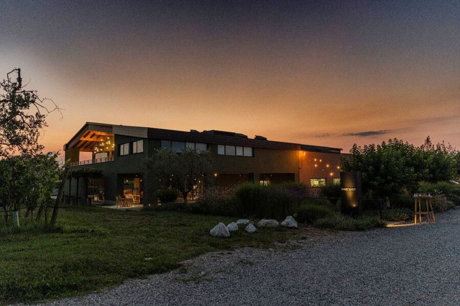 Desenzano: Lugana Wine-Tasting and Vineyard Tour - Walking through the vineyards and production rooms