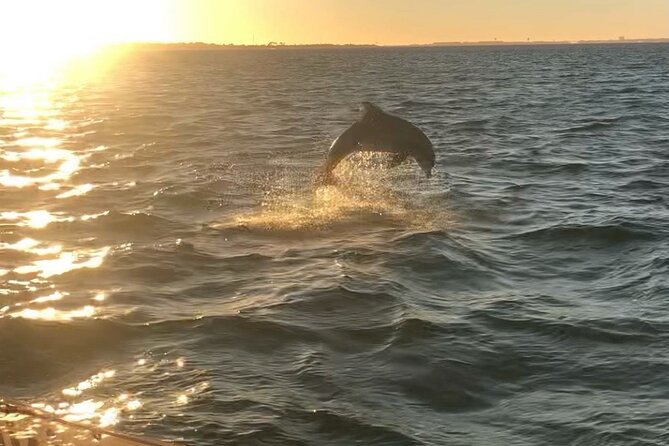 Destin's Floating Tiki Bar Cruise: 360° Harbor Views - Music, drinks, and the right kind of party