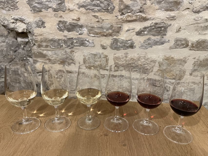 Dijon: Cheese and Burgundy Wine Tasting Workshop - A short tasting with a clear Burgundy focus