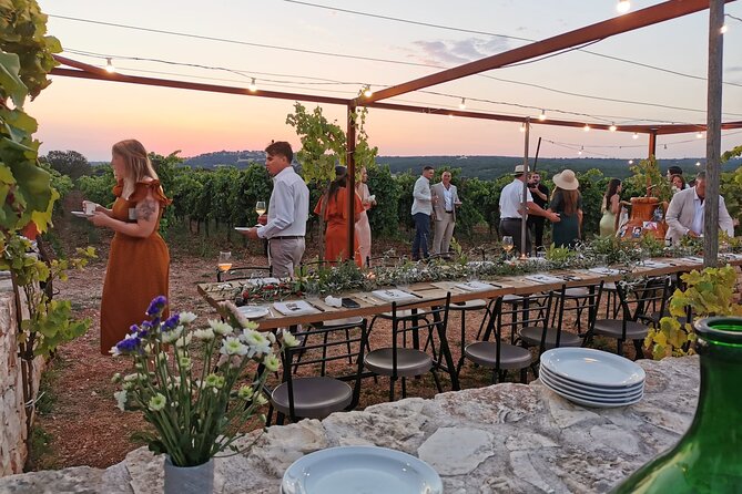 Dinner in the vineyard with wine tasting and walk - At a glance