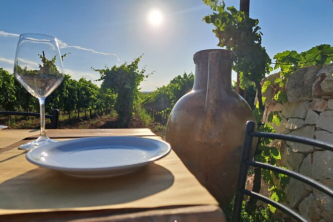 Dinner in the vineyard with wine tasting and walk - Handmade orecchiette and traditional bombette