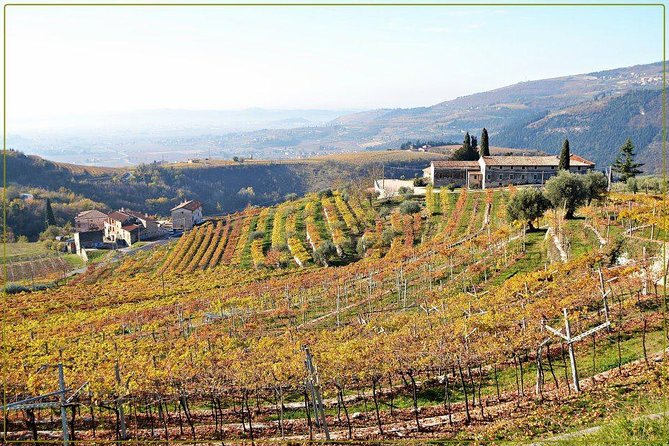 Discover Valpolicella Vineyards and Wine Tasting Experience - What the $84.69 price buys you
