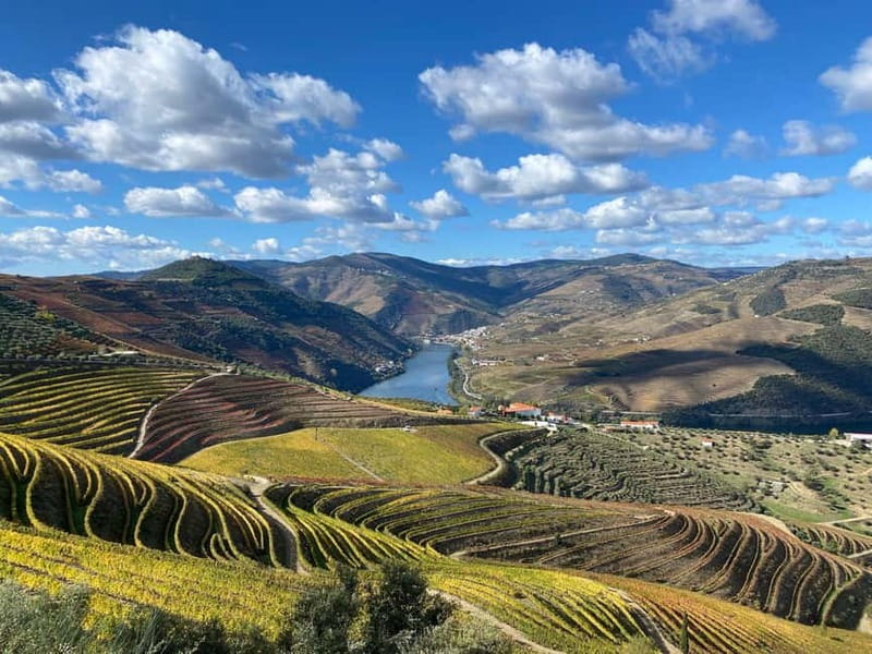 Douro Valley: Small-Group Tour, Winery's Lunch, Private Boat - The N222 return through the valley